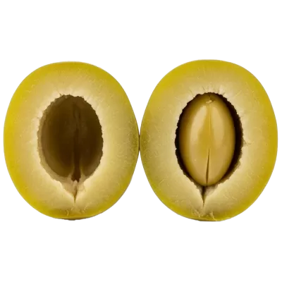 Imagen PNG para descargar